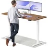 Elektrinis reguliuojamo aukščio stalas Desktronic HomePro Baltas/Riešutmedis, 180x80cm, Dvigubas motoras, USB ir USB-C įkrovimo lizdai