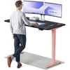 Elektrinis reguliuojamo aukščio stalas Desktronic HomePro Rožinis/Juodas, 160x80cm, Dvigubas motoras, USB ir USB-C įkrovimo lizdai