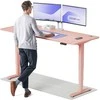 Elektrinis reguliuojamo aukščio stalas Desktronic HomePro Rožinis/Rožinis, 200x80cm, Dvigubas motoras, USB ir USB-C įkrovimo lizdai
