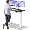 Elektrinis reguliuojamo aukščio stalas Desktronic HomePro Baltas/Juodas, 120x60cm, Dvigubas motoras, USB ir USB-C įkrovimo lizdai