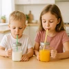 Winder Home Stiklinė su dangteliu ir šiaudeliu – 450 ml, 1 vnt., stiklinis indas gėrimams