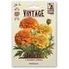 Serenčiai didieji MARIGOLD