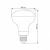 Fito LED augalų lemputė E27 9W 14umol/s 1200K kampas<120*, VIDEX VLE-R80FF-09271 | R80, Bicolor – Specialus spektras kambariniams augalams ir daigams
