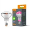 Fito LED augalų lemputė E27 9W 14umol/s 1200K kampas<120*, VIDEX VLE-R80FF-09271 | R80, Bicolor – Specialus spektras kambariniams augalams ir daigams