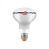 Fito LED augalų lemputė E27 9W 14umol/s 1200K kampas<120*, VIDEX VLE-R80FF-09271 | R80, Bicolor – Specialus spektras kambariniams augalams ir daigams