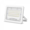 Prožektorius LED 30W, 2700Lm, 5000K, Videx F2e