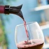 2 viename vyno kamštis su pylimu ir aeratoriumi Wintopp InnovaGoods
