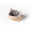 GiftWorld 3D Portmonetka buldogas