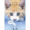 A4 formato elastinis aplankas „Cat Friends Forever“