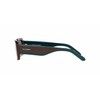 Akiniai ARNETTE AN431812382W5. Akiniai przeciwsłoneczne, Kolor ruda. Unisex.