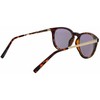 Akiniai SERENGETI SS556001. Akiniai przeciwsłoneczne, Kolor ruda. Unisex.