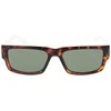 Abiejų lyčių akiniai nuo saulės Superdry SDS-5005 54102A