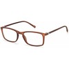 Akiniai PIERRE CARDIN P.C.-6239-YZ4. Akiniai, Kolor ruda. Mężczyzna.