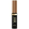 Max Factor 2000 Calorie Brow Sculpt Eyebrow Gel and Eyebrow Pomade moterims, 4,5 ml