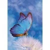 Aplankas Butterfly Butterfly Nature A/4 elastinė juostelė