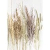 Aplankas Butterfly Golden Harvest Nature A/4 elastinė juostelė