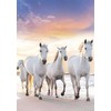 Aplankas su guma „Horses Gallop“ A/4 formato