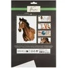 Grafix Ccg Mz Import CCG malowanie po numerach Koń AR1066 38982