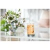 Yankee Candle Aromatinė žvakė Signature tumbler large Mango Ice Kreminis 567 g