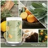 Yankee Candle Aromatinė žvakė Signature tumbler large Sage - Citrus 567 g