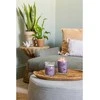 Yankee Candle Aromatinė žvakė Signatūrinis stiklas didelis Stargazing 567 g
