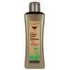 Atstatantis šampūnas Biokera Arganology Salerm Argano aliejus (300 ml)