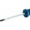 Bosch Atsuktuvas TX25 x 100mm