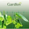 Augalų atraminis tinklelis 2x20m Gardlov