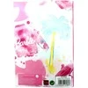 Barbie Paints B/5 linijinis sąsiuvinis 40 lapų