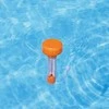 Baseino termometras BESTWAY Flowclear 58697