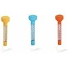 Baseino termometras BESTWAY Flowclear 58697