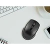 TRACER Deal Juodas RF Nano Pelė Wireless