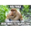 GM kaukė "lenkiška nosis"