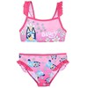 „Bluey Daisy“ vaikiškas maudymosi kostiumėlis, bikinis 3-6 metų vaikams