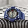 Casio moteriškas laikrodis LRW-200H-2CVDF + dėžutė