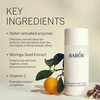 Babor Refining Enzyme &amp; Vitamin C Valiklis valomasis šveitiklis su papaja ir vitaminu C 40g