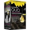 Garnier Olia Permanent Coloring 4,0 Brown plaukų dažai
