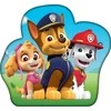 Dekoratyvinė pagalvėlė „Paw Patrol“ būrys, 36x36 cm