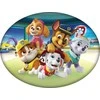 Dekoratyvinė pagalvėlė „Paw Patrol“ komandai, 40x29 cm