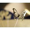 Dekoratyvinės lazdelės „Butterfly Gold“, 12 vnt.