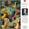 Cenega Vaizduotės dėlionė: Ernst Haeckel Jūros gyvūnai 1000 elementų