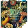 Cenega Vaizduotės dėlionė: Ernst Haeckel Jūros gyvūnai 1000 elementų