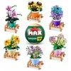 *****ZURU MAX-MAX Garden Plants kula 83183