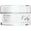 Revox B77 Revox Japanese Ritual Face Kreminis Light Texture, 50 ml