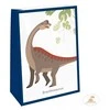 Dinozaurų ir laimingų popierinių maišelių rinkinys, 4 vnt.