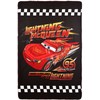 Disney Cars Thunder flisinis pledas, 100x150 cm