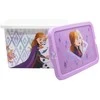 „Disney“ „Frozen“ elementų plastikinė laikymo dėžė, 7 l