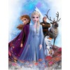 Disney Frozen flisinė antklodė 130x170 cm