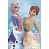 Disney Frozen Olaf ir seserų vilnos antklodė 100x150cm