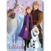 Disney Frozen žiemos draugų vilnos antklodė 100x140cm